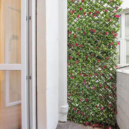 Blanco Bed and Breakfast 3*